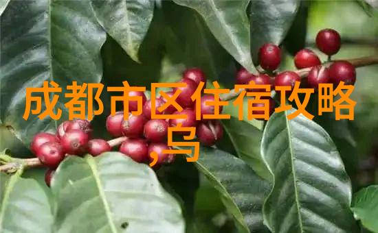 顶级豪华五星级住宿经验分享 你值得拥有最好的睡眠环境吗