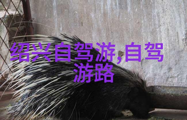 乘风破浪追逐梦想张家界天梯之旅