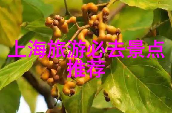 区域活动100个名称探索地区文化系列活动