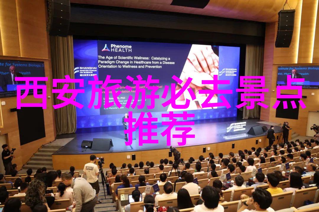 从泥巴堆到星空大班幼儿户外游戏奇妙冒险