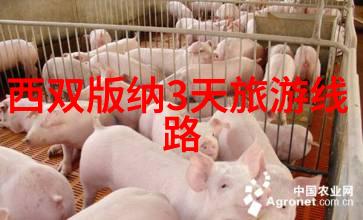 镜中泪痕我如何用眼泪书写你的故事