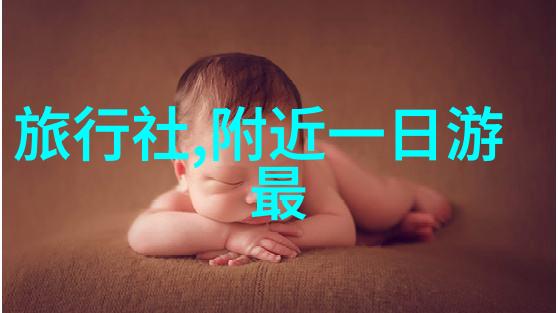 花园里的沙漠冒险幼儿园户外活动奇遇