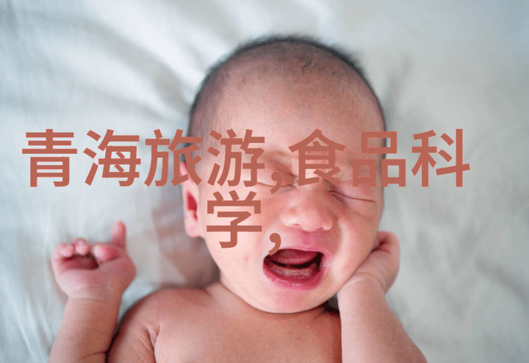让孩子们也能享受旅行乐趣适合家庭旅游的小镇推荐