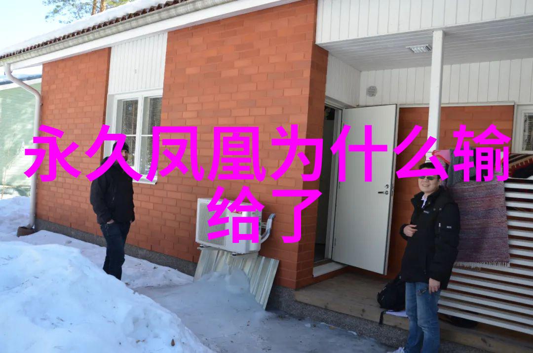 慎重选择折叠自行车的潜在风险与不便