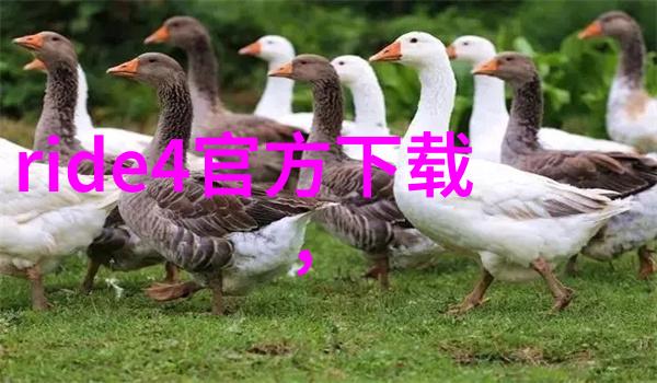 哈萨克民俗园