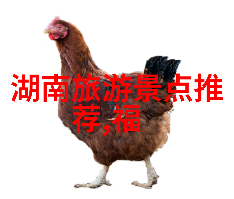 探索童年记忆小学三年级游记作文精选