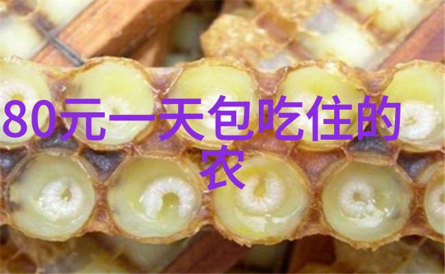 2023日本旅游团 - 探索春日的魅力2023年日本美食与文化之旅
