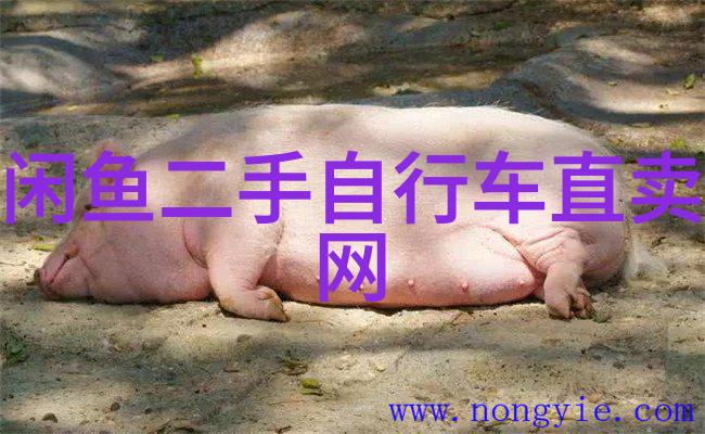 旅游官方网我是如何在旅行小助手上发现完美度假目的地的