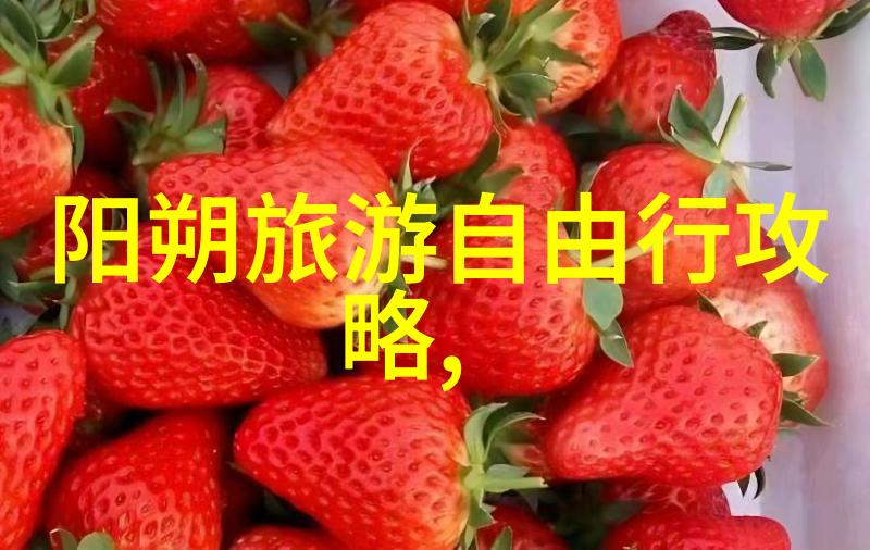南阳古韵游记