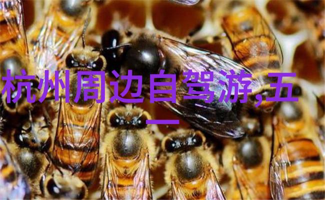 探秘游记作文中考满分之谜
