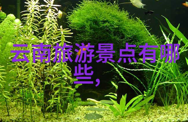 黄果树大瀑布之旅体验山区原始风光