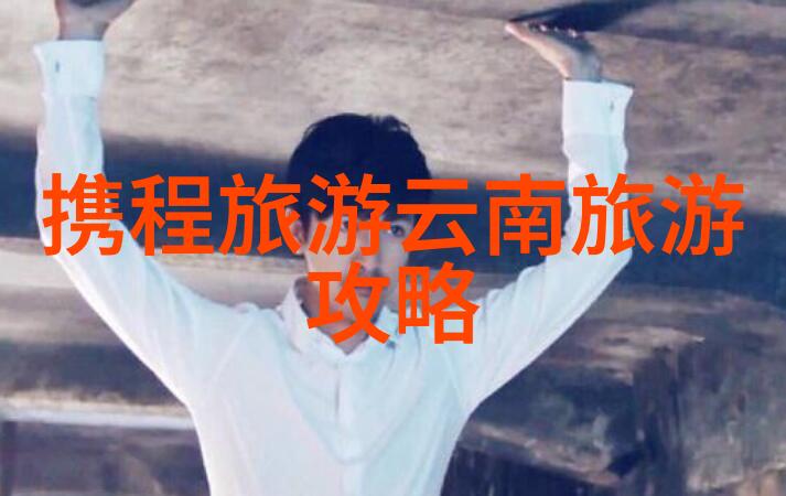 在北京故宫的怀抱中寻找完美之所住宿攻略的迷雾之谜