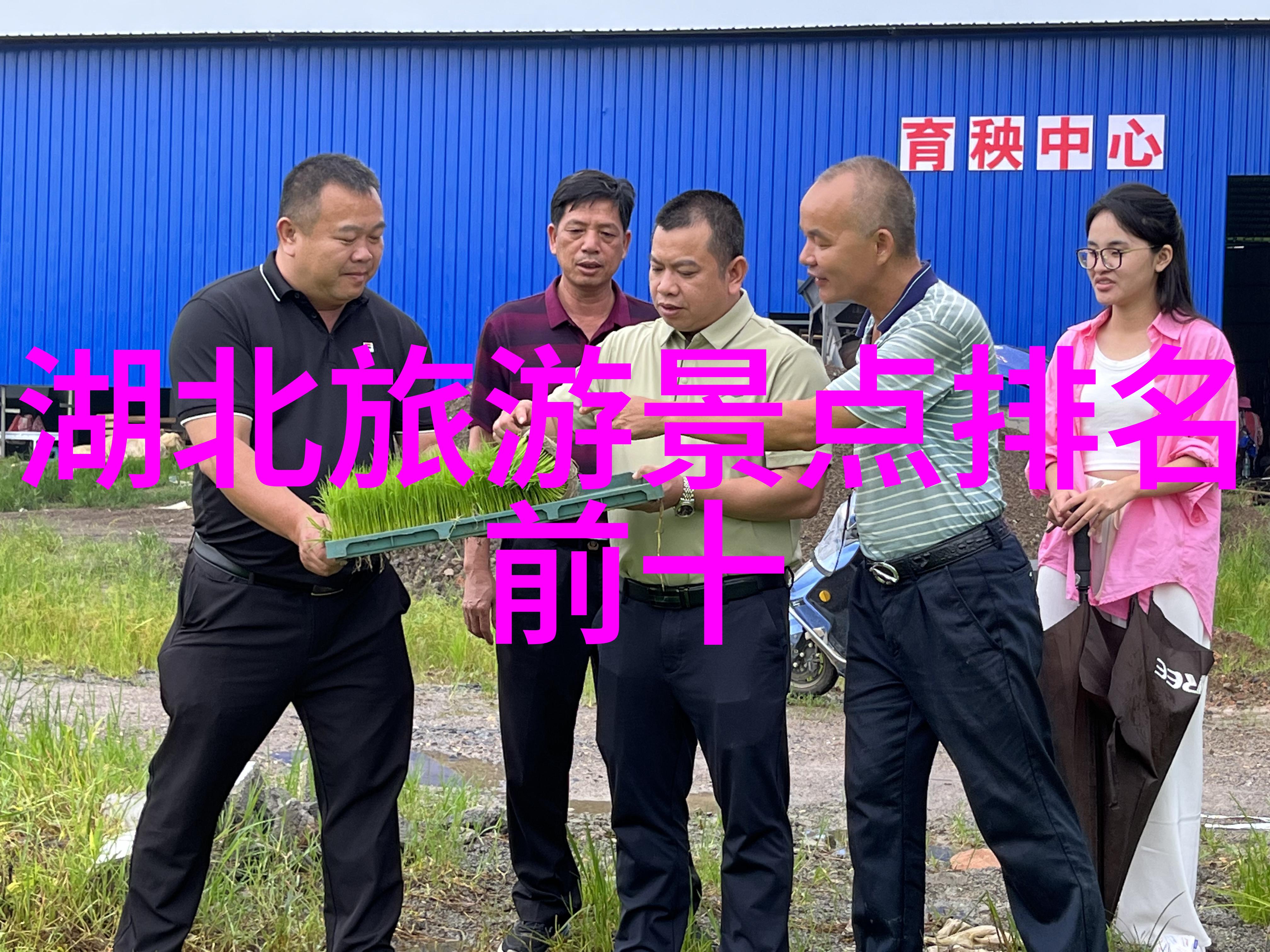 贵州美景巡礼探索贵州最具魅力的7大旅游胜地