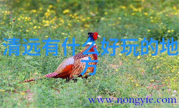 绘梦之旅世界十大奇迹