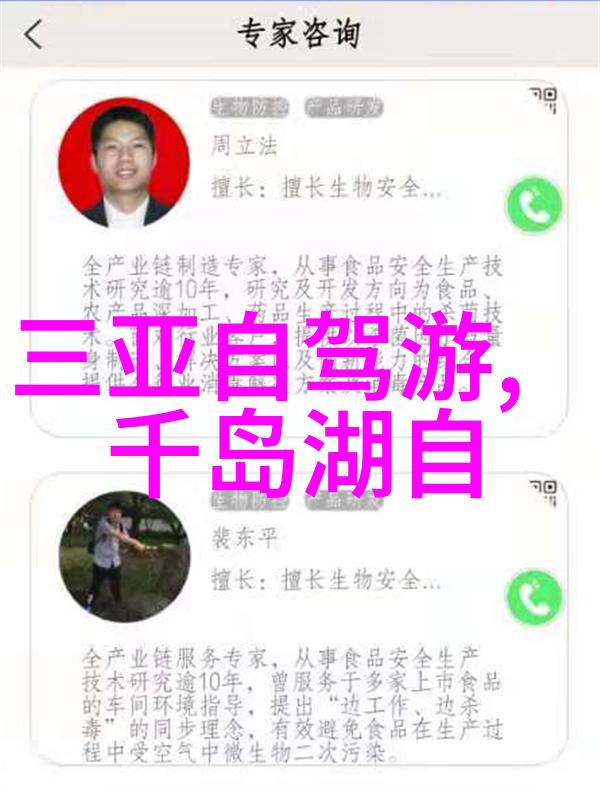 2022年全球旅游业的逆袭从疫情到复苏的奇迹之旅