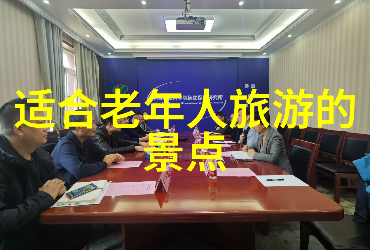 探秘商丘古韵风情与现代魅力共存的神奇景点