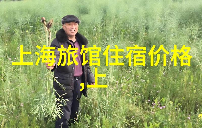 住宿酒店-精选城市居所探索高品质住宿的新体验