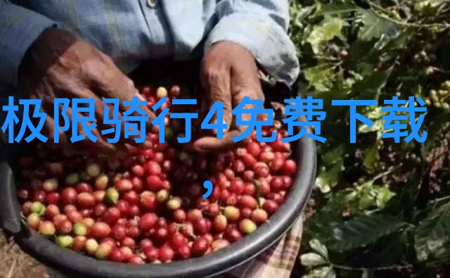 幼儿园户外探险乐园创意游戏丰富多彩