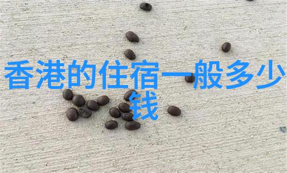 陈巴尔虎旗民族博物馆