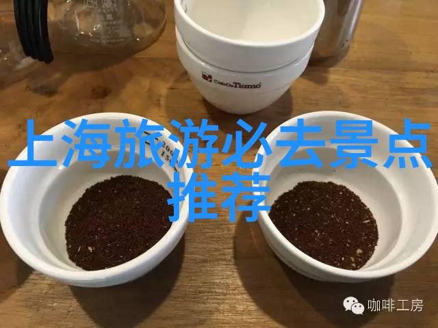 成都旅游攻略路线最佳路线我在成都的探索之旅从茶馆到熊猫