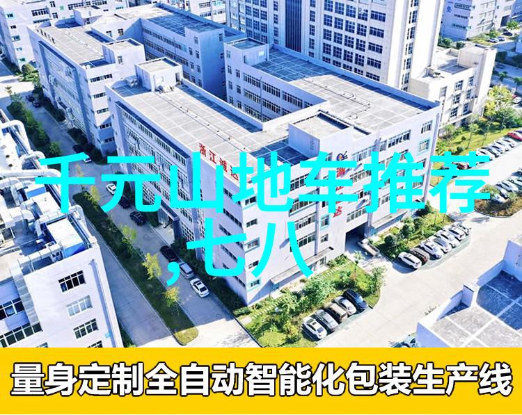 各大航空公司推出了什么样的促销活动来吸引旅客