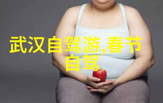 游乐场背后的巨额投资欢笑与债务的双重奏鸣