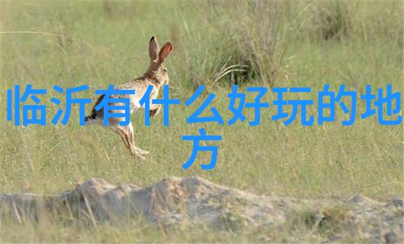 4月份去哪里旅游最好小伙伴们这里有最佳的旅行推荐