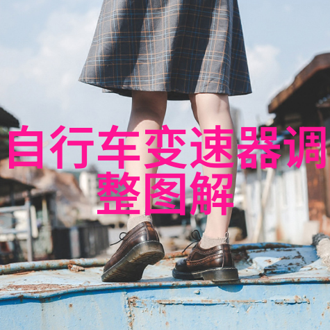 寻找传统在现代的踪迹我的春节游记