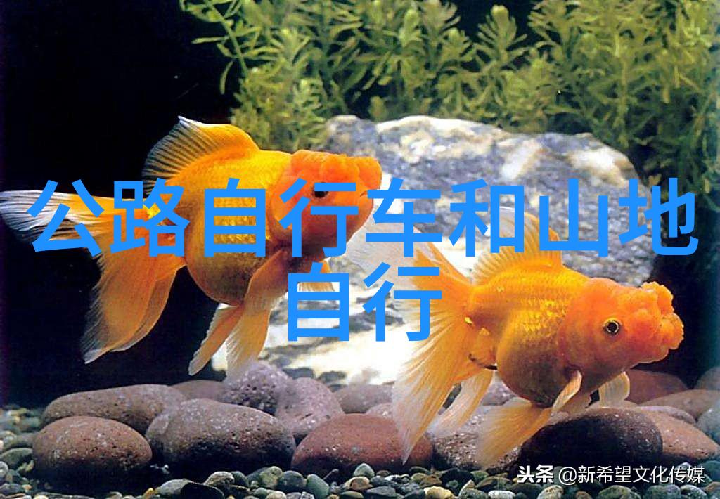 血火河山燃烧的江湖与烈焰中的秘密