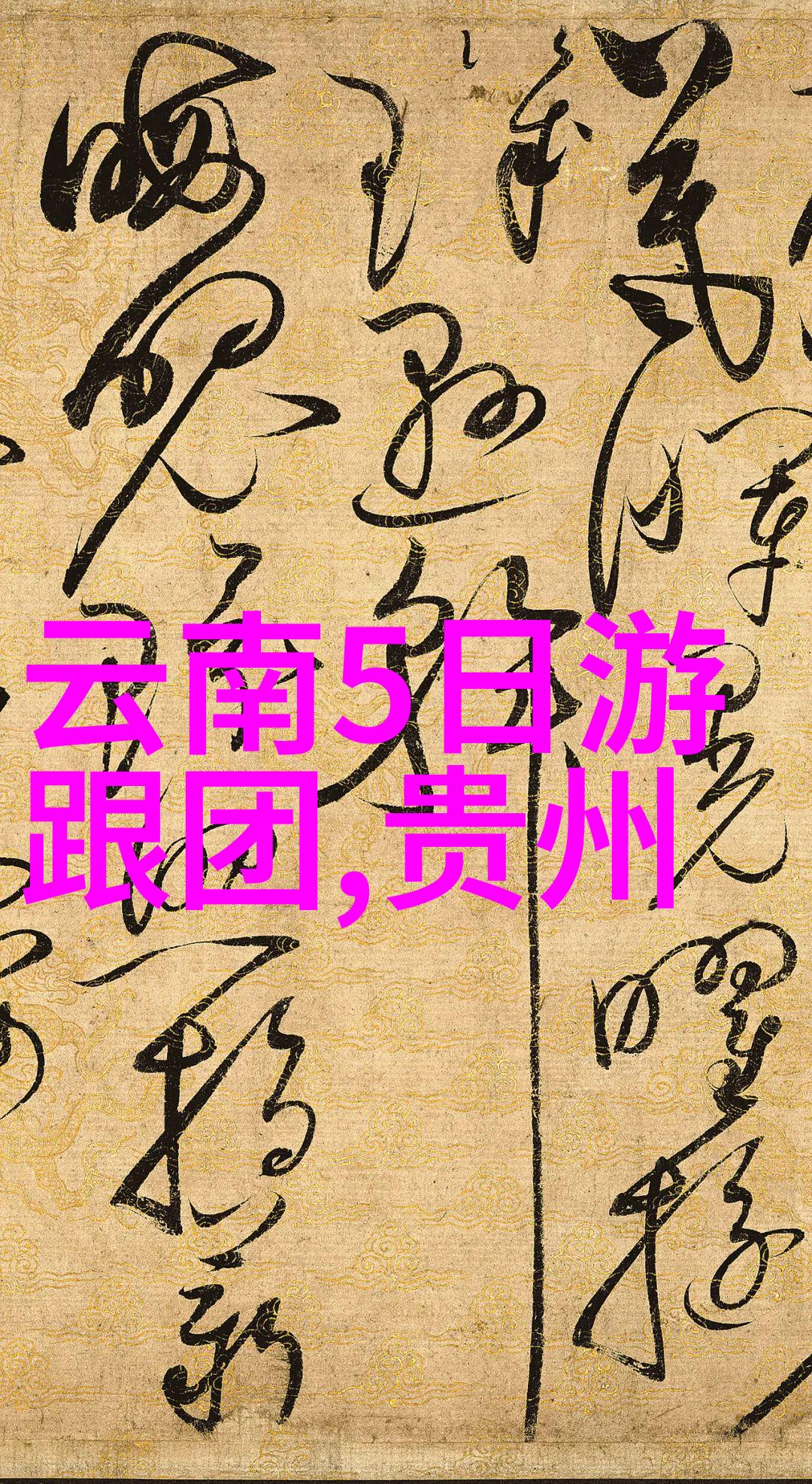 如何体验成都的传统茶文化