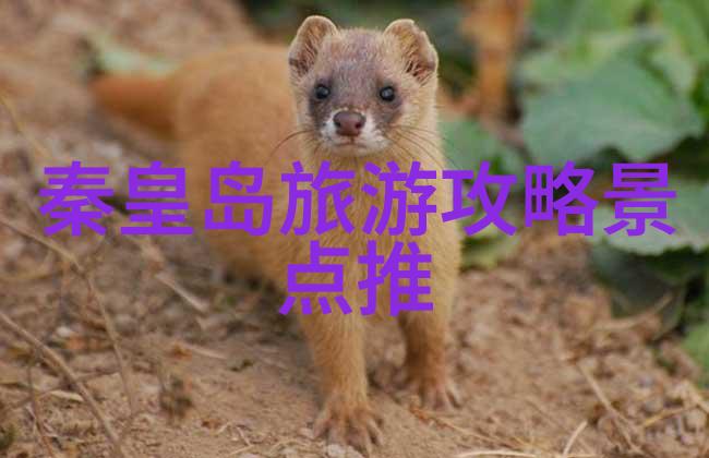 国内游热潮背后城市接待能力能否满足