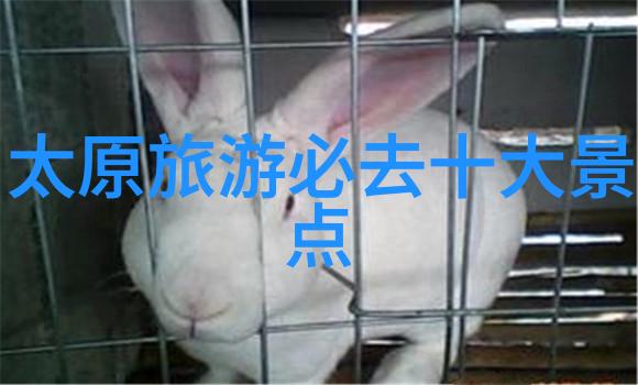 主题北京周边美食探秘我带你去吃遍天下