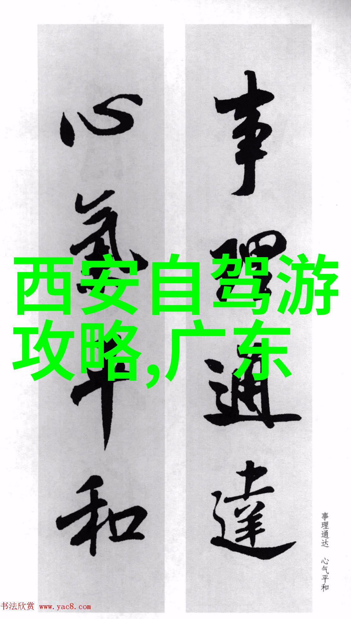 广州美食之旅品味岁月的味道