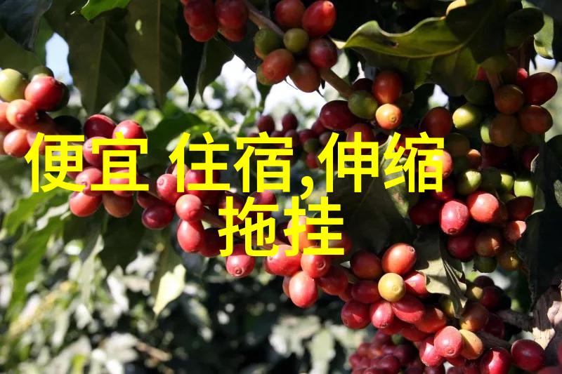 九寨沟三日游旅行团价格详解探索天然奇观的最佳行程与预算规划