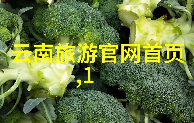西安旅游攻略全解析从大雁塔到华清宫的最佳路径