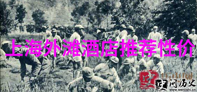 中国美食探秘街头小吃的诱惑与魅力