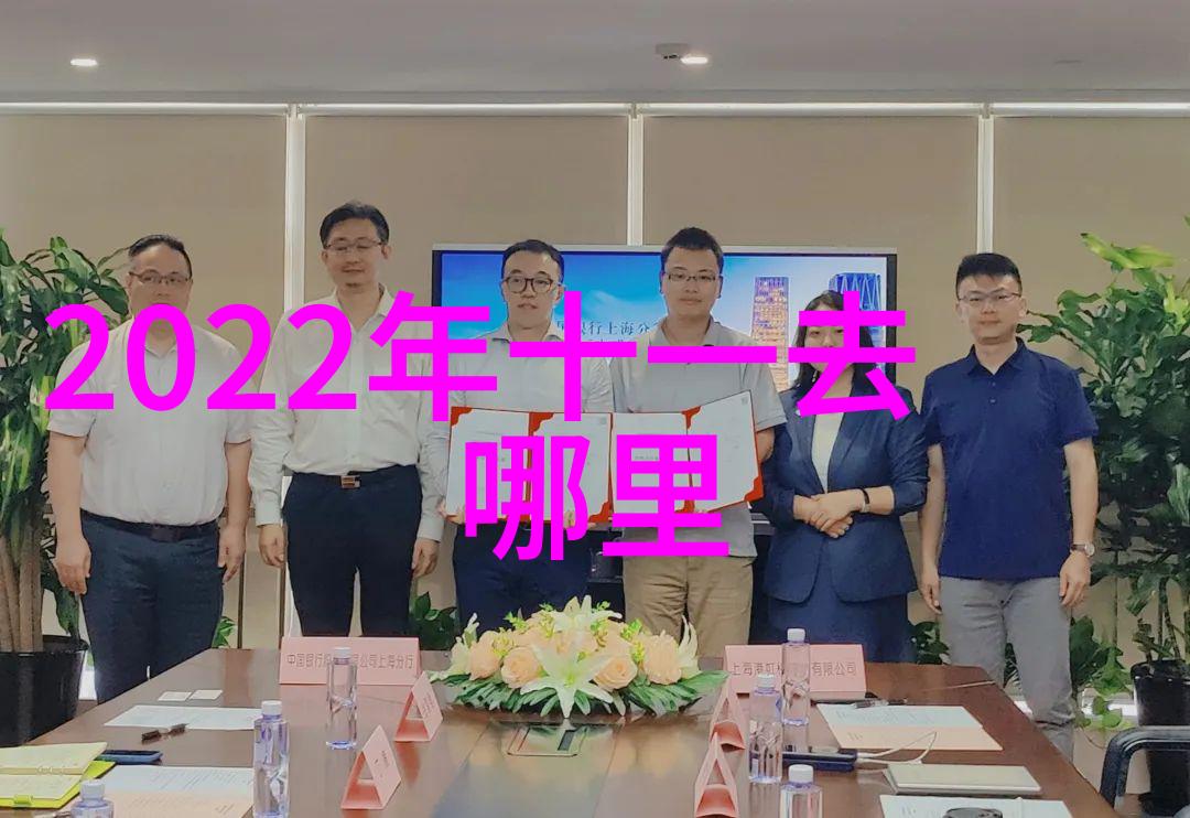 北极光下的冰原乐章挪威北部萨米人社区体验