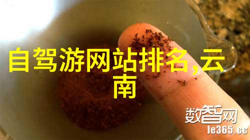 星辰下的纱巷梦魇