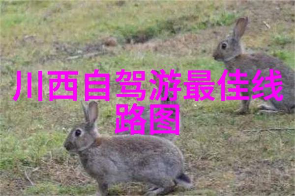 探秘古韵婺源美景之旅