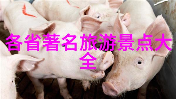 山地车探索轮下风暴
