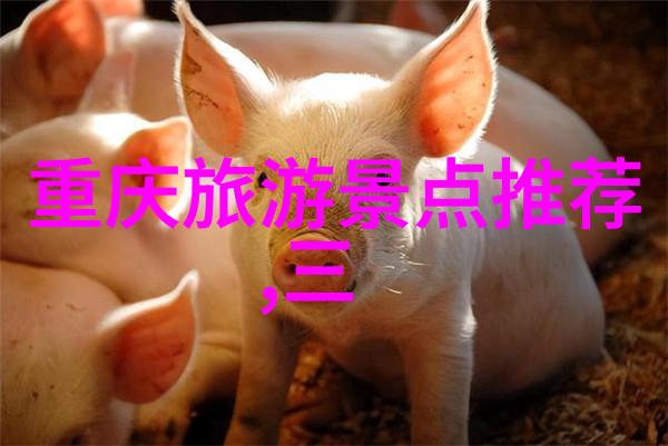 东方明珠之下沿江追梦上海周边自驾游探秘