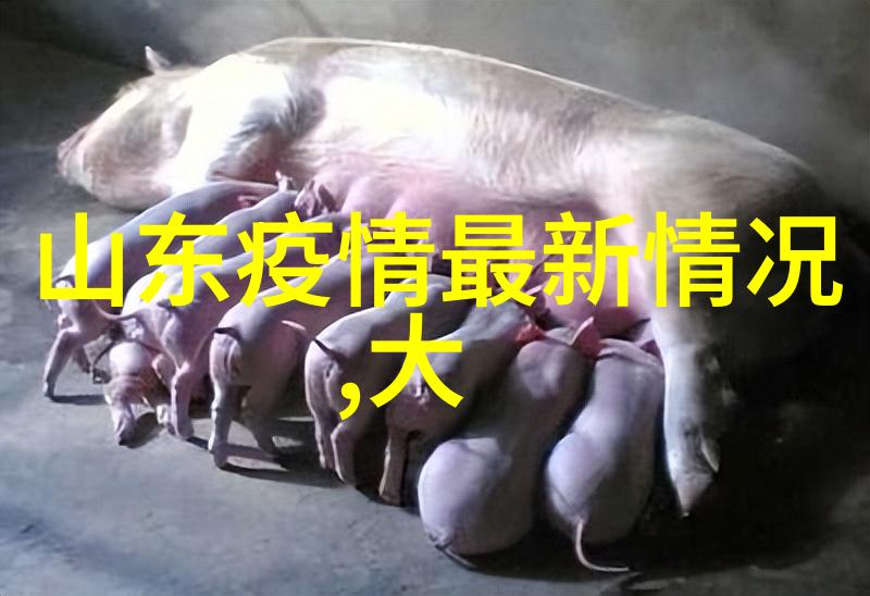 赣州春秋阁荆州的秀美延伸