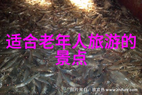 双节假期国内旅游出游8.26亿人次-国门放松游客潮涌双节假期成就新高