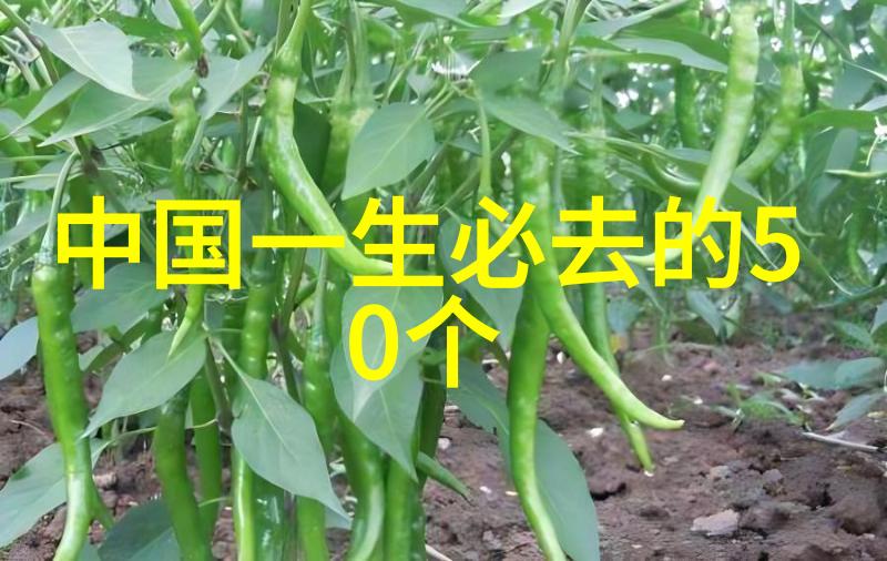 中国情侣旅游胜地浪漫的湖畔古镇的巷弄美丽海岸线