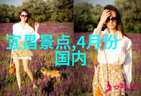 长沙旅游攻略探索古韵与现代的双重魅力必问之事有哪些