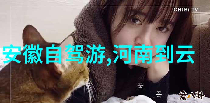 50岁60岁后人士同行旅行中年结伴游