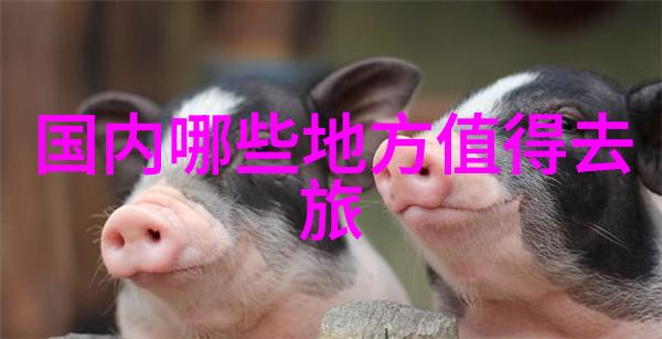 如何一根棉签擦拭自己的心灵深处情感自我调节技巧