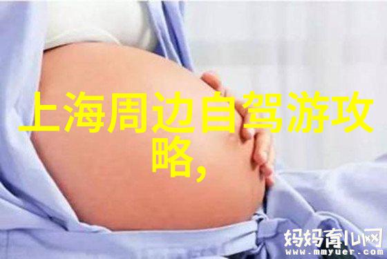 新冠疫情防控政策调整动态清零目标与个性化管理融合