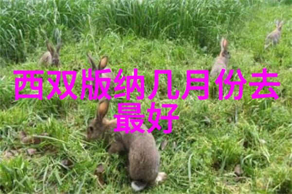 棂星桥