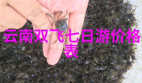 森林深处与自然亲密接触的一天